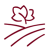 web iconos-08